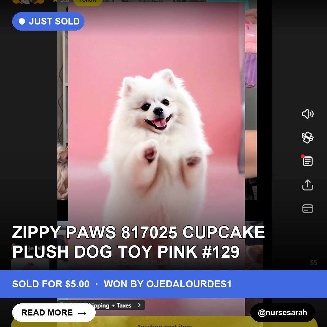 Pink Cupcake Zippy Paws Plush Dog Toy Finds a Home