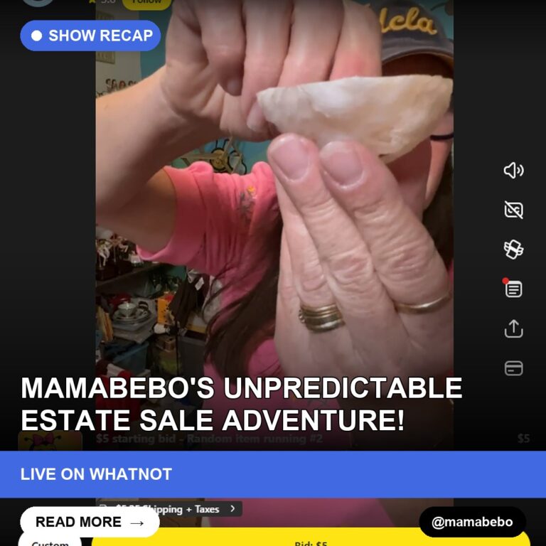MamaBebo's Unpredictable Estate Sale Adventure!
