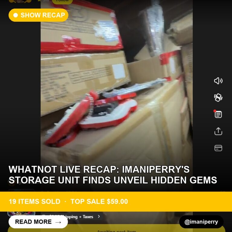 Whatnot Live Recap: imaniperry's Storage Unit Finds Unveil Hidden Gems