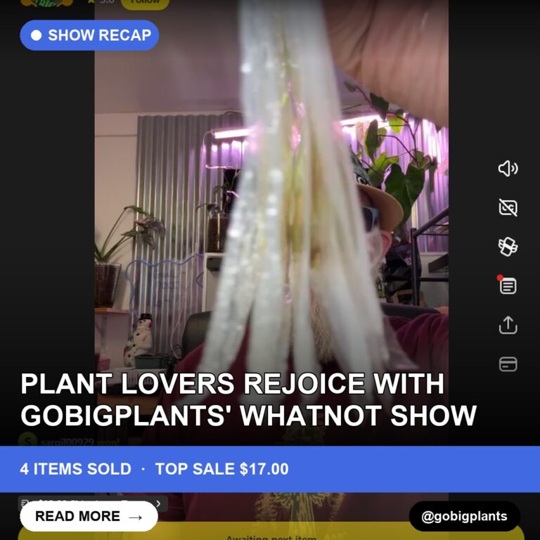 Plant Lovers Rejoice with Gobigplants' Whatnot Show