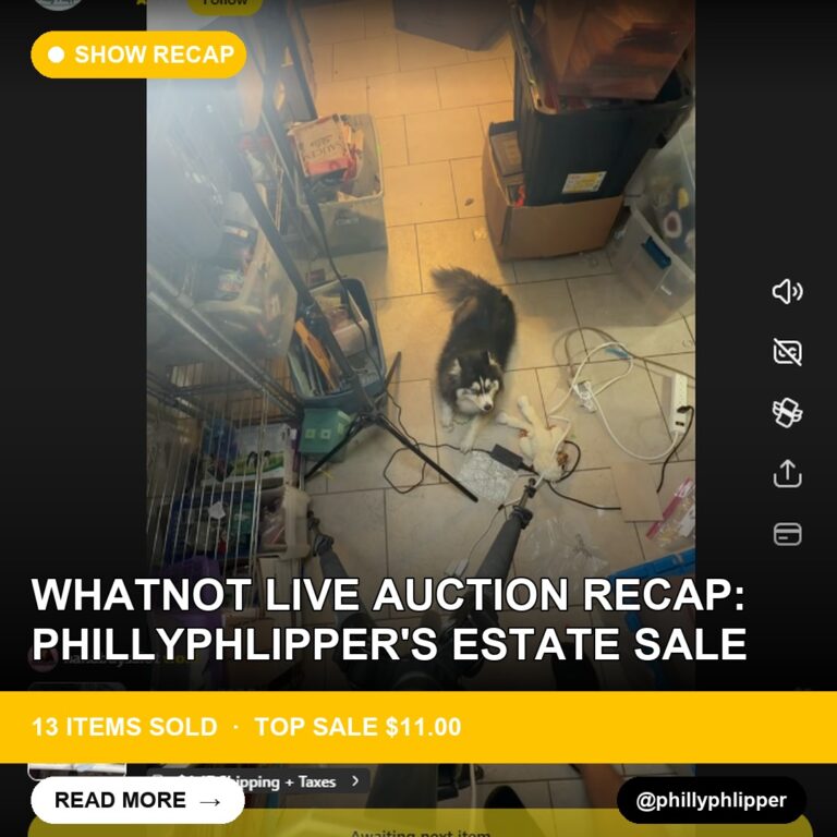 Whatnot Live Auction Recap: phillyphlipper's Estate Sale