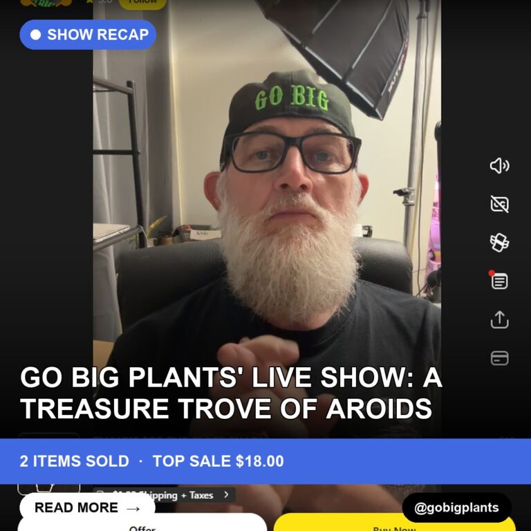 Go Big Plants' Live Show: A Treasure Trove of Aroids