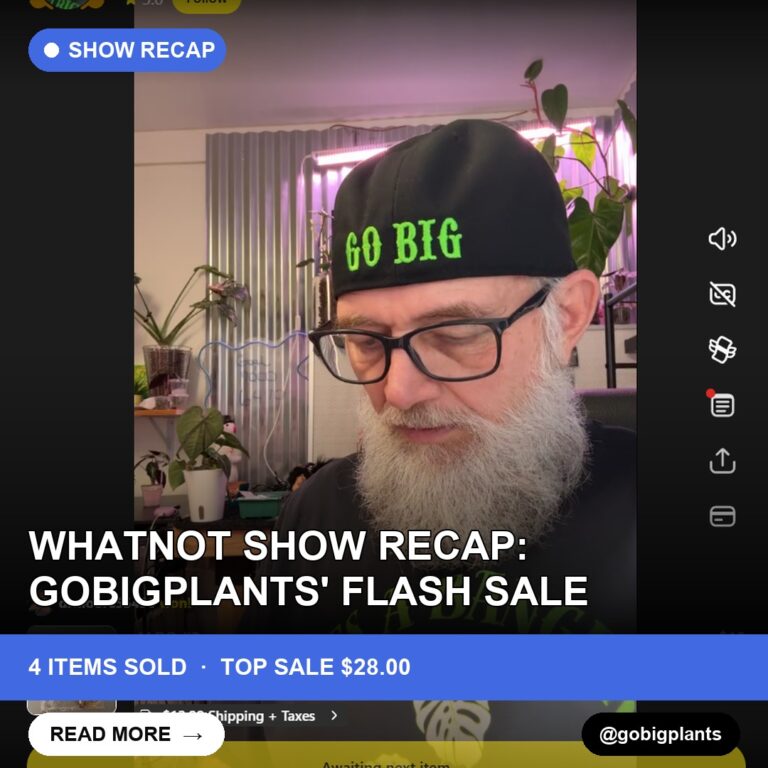Whatnot Show Recap: gobigplants' Flash Sale