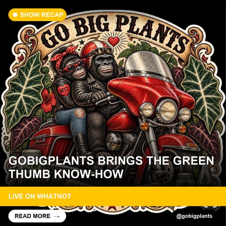 Gobigplants Brings the Green Thumb Know-How