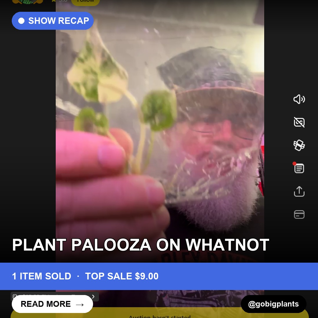 Plant Palooza on Whatnot