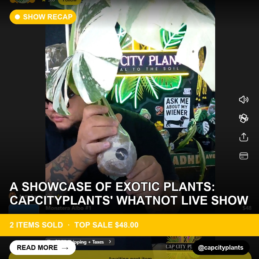 A Showcase of Exotic Plants: capcityplants' Whatnot Live Show