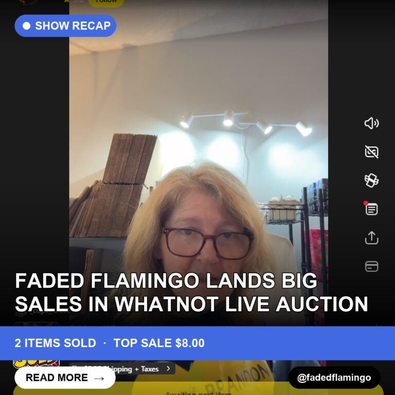 Faded Flamingo Lands Big Sales in Whatnot Live Auction