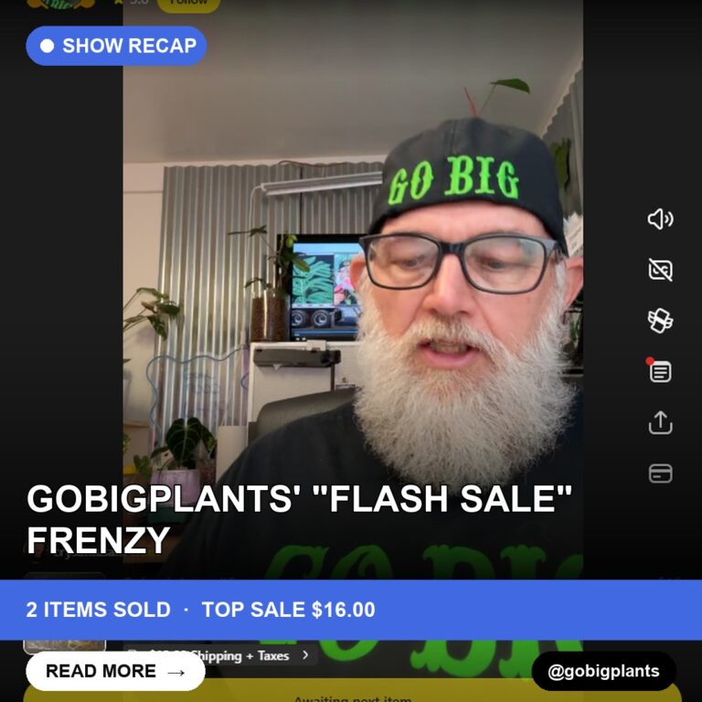 Gobigplants' "Flash Sale" Frenzy