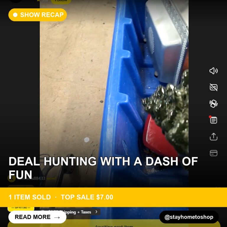 Deal Hunting with a Dash of Fun