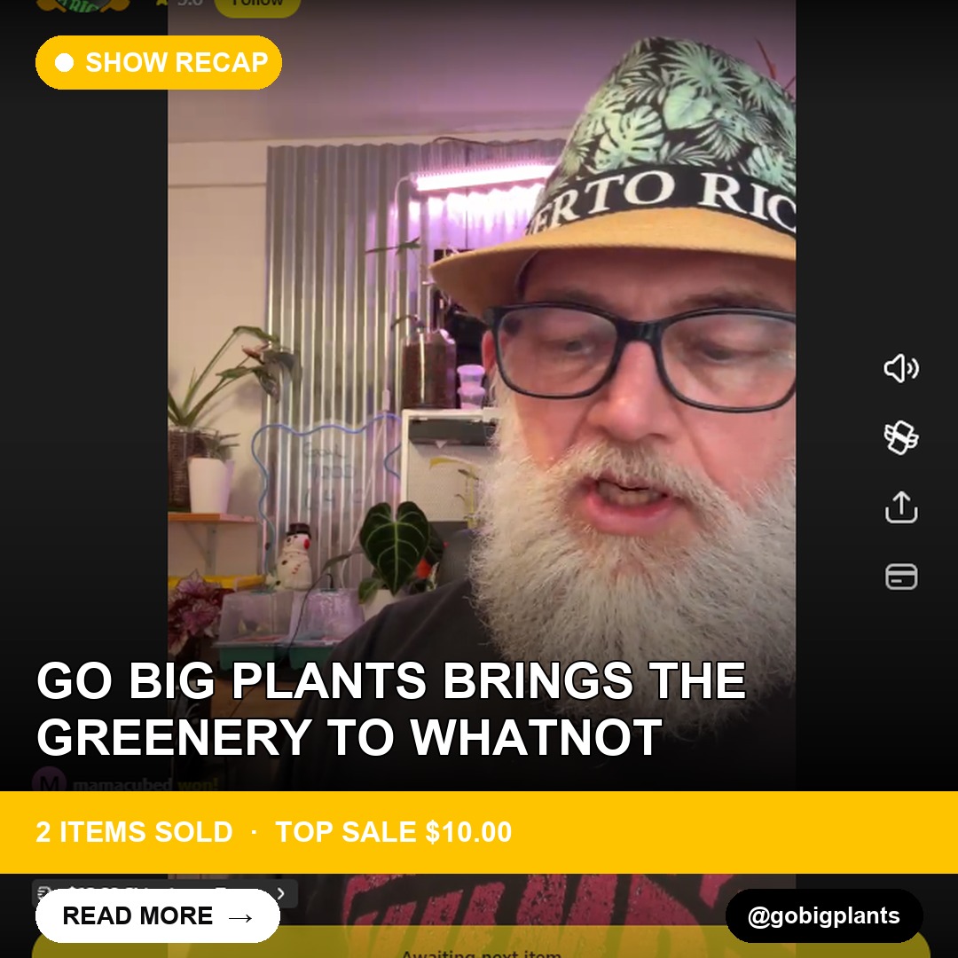Go Big Plants Brings the Greenery to Whatnot