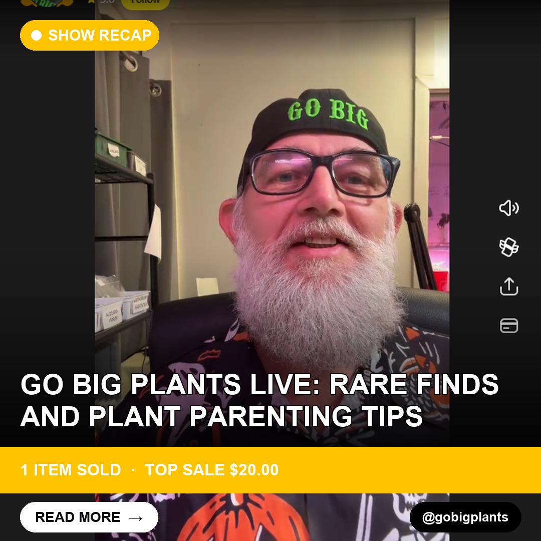 Go Big Plants Live: Rare Finds and Plant Parenting Tips