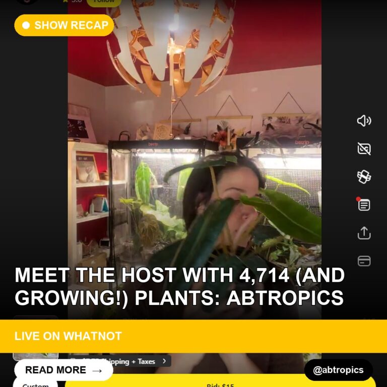 Meet the Host with 4,714 (And Growing!) Plants: abtropics