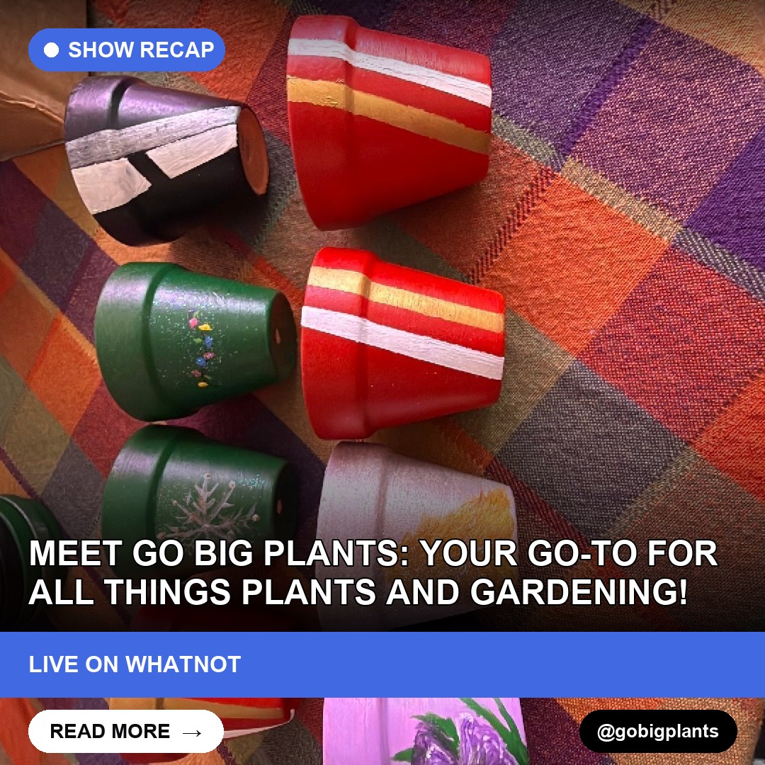 Meet Go Big Plants: Your Go-To For All Things Plants and Gardening!
