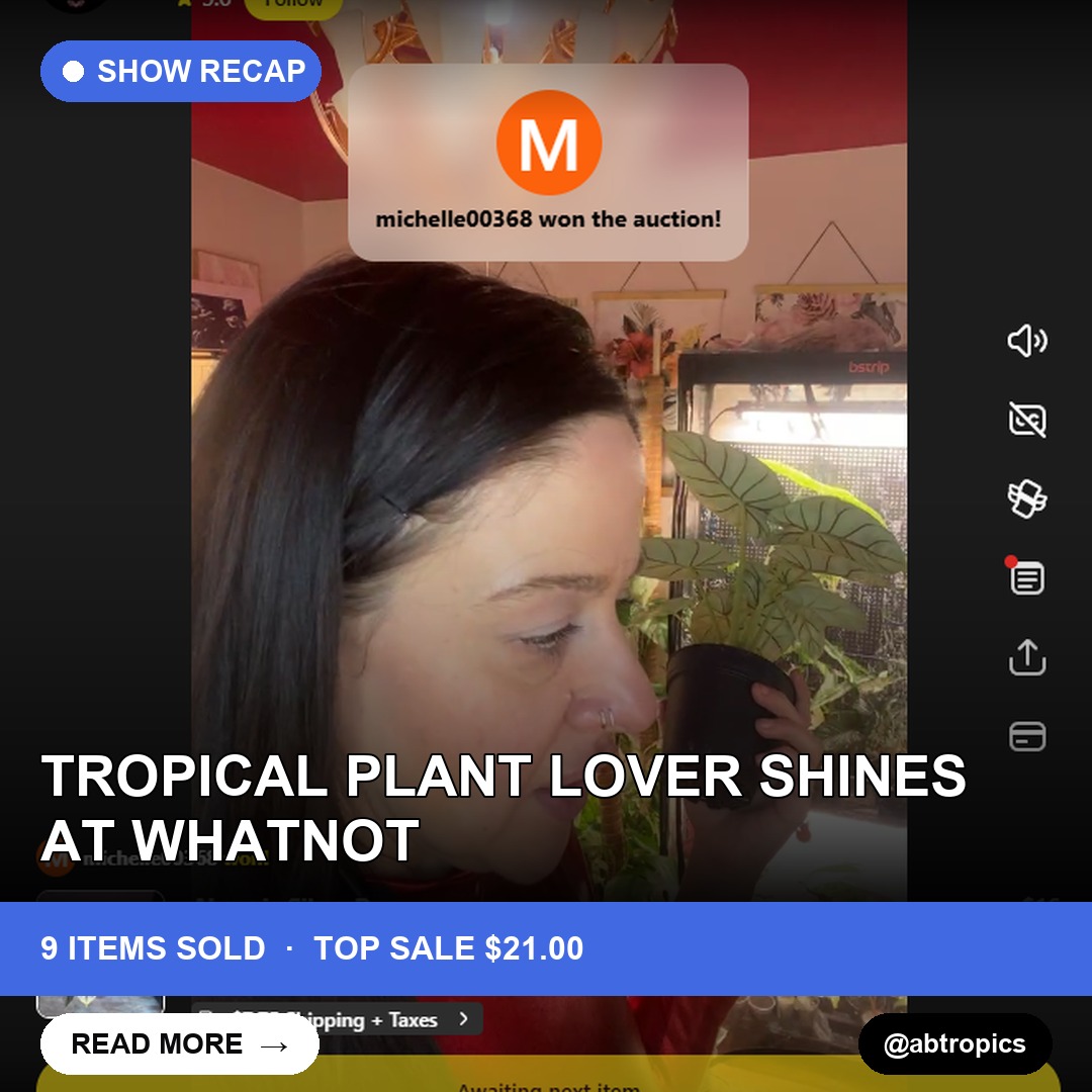 Tropical Plant Lover Shines at Whatnot