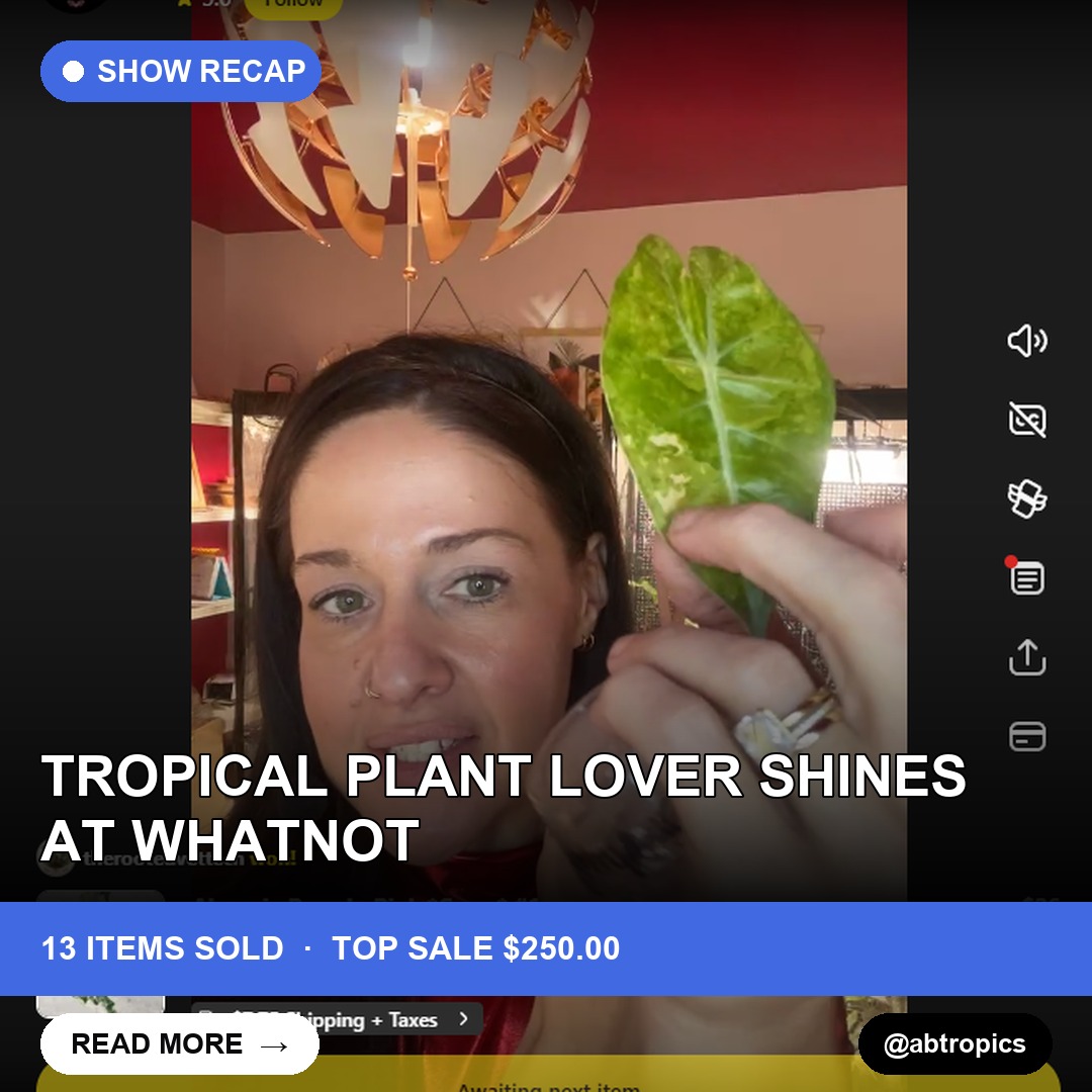 Tropical Plant Lover Shines at Whatnot
