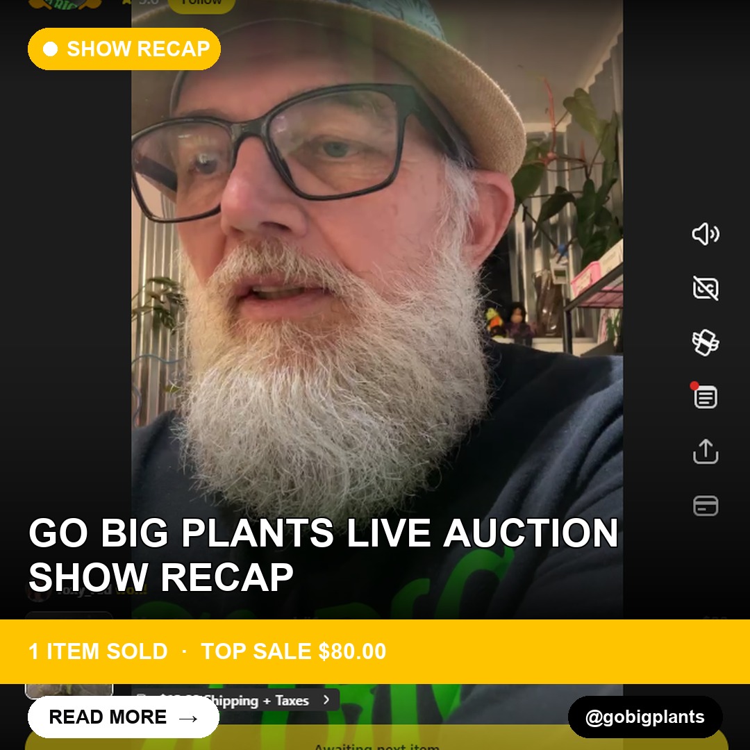 Go Big Plants Live Auction Show Recap