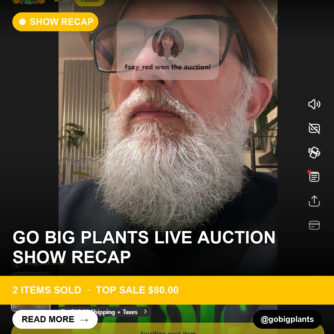 Go Big Plants Live Auction Show Recap