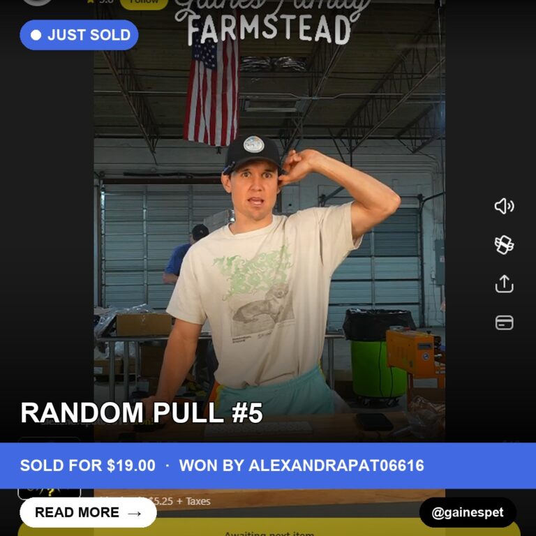 Dollars and Dog Treats: Whatnot's Random Pull #5 Scores Big!