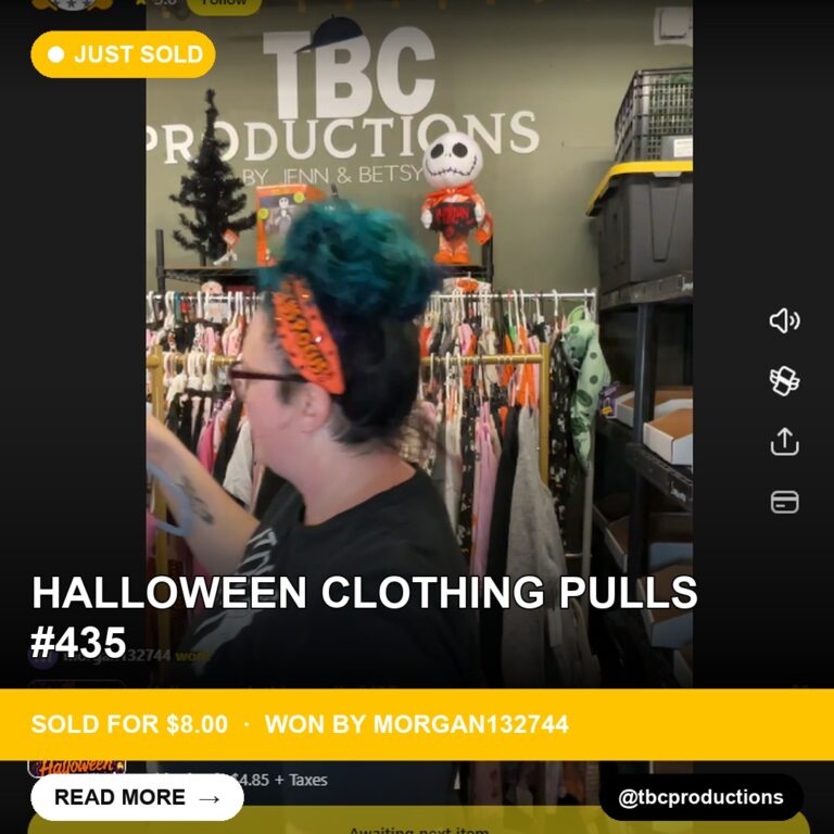 Rare Halloween Decor Lot Takes Home a Steal on Whatnot