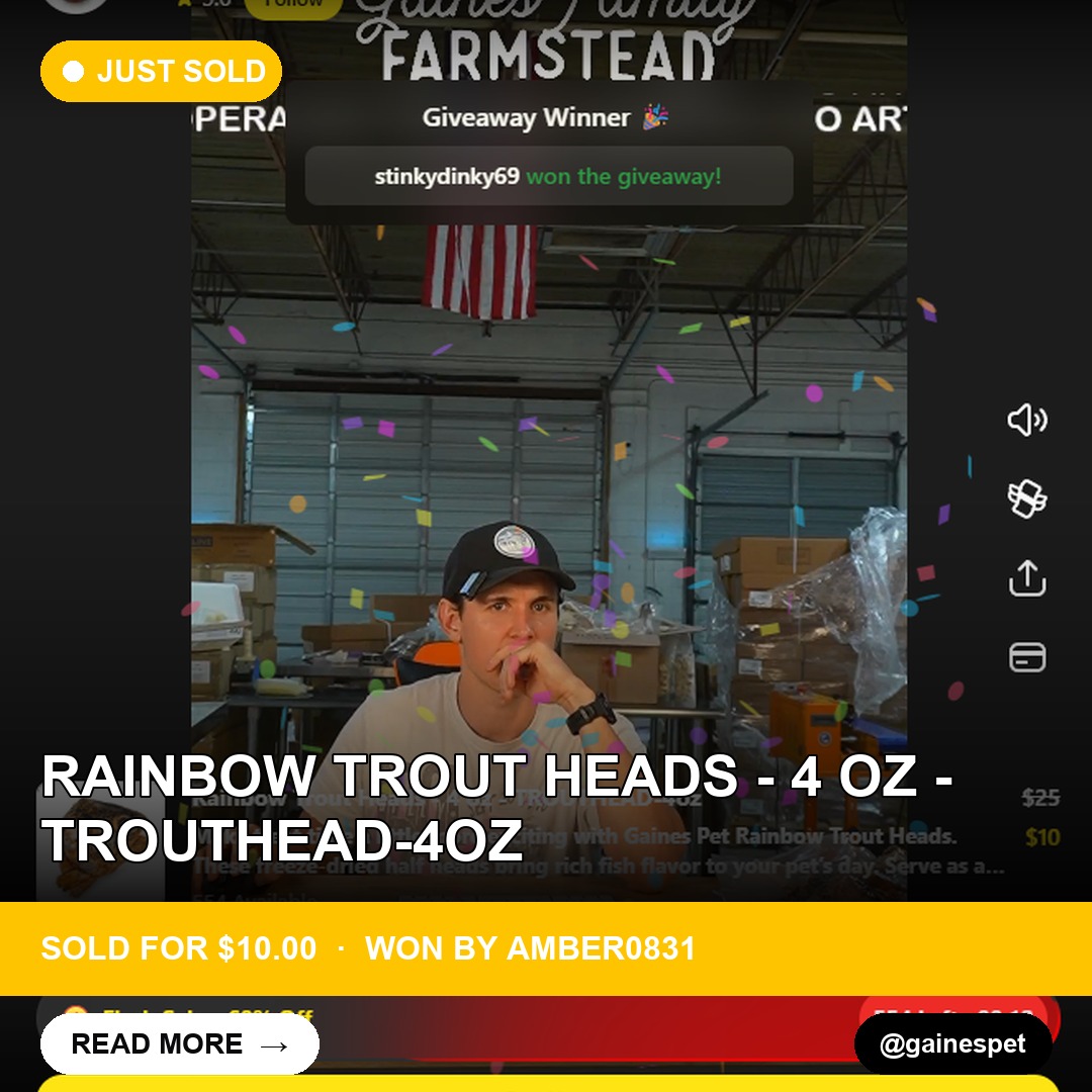 Rainbow Trout Heads Catch a Lucky Bidder's Eye