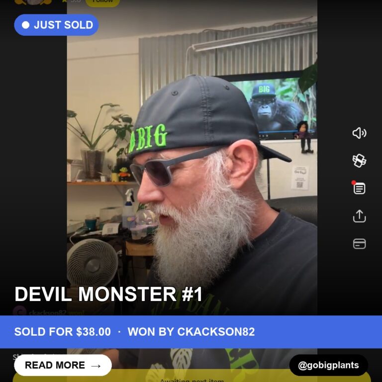 Monster Mid-Sale Win