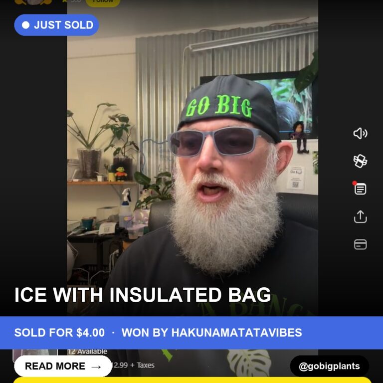 ICE WITH INSULATED BAG