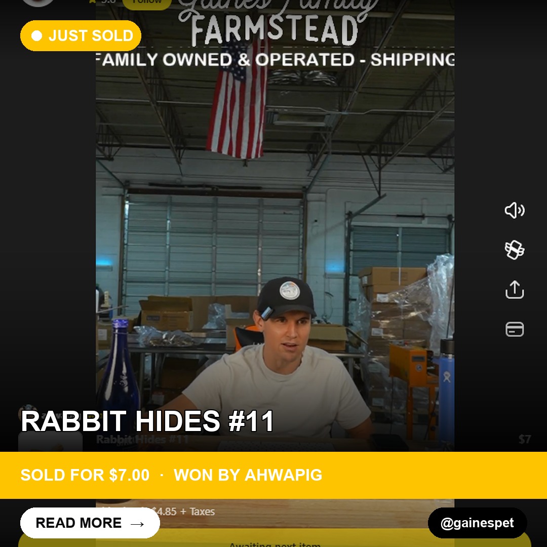 Rare Rabbit Hides Sell Out in No Time