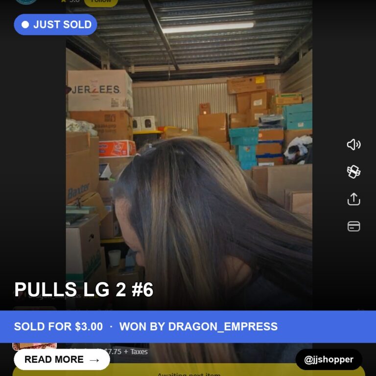 Whatnot Live: A Mysterious Storage Unit Find Sells for $3