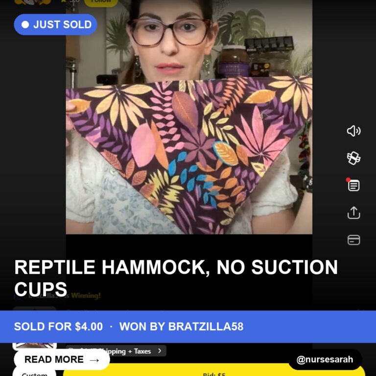 Cute Reptile Hammock Finds a New Home!
