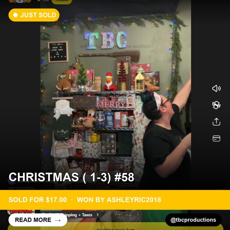 Silly Squirrel Delight: Charity Christmas Calendar Stolen in Whatnot Auction