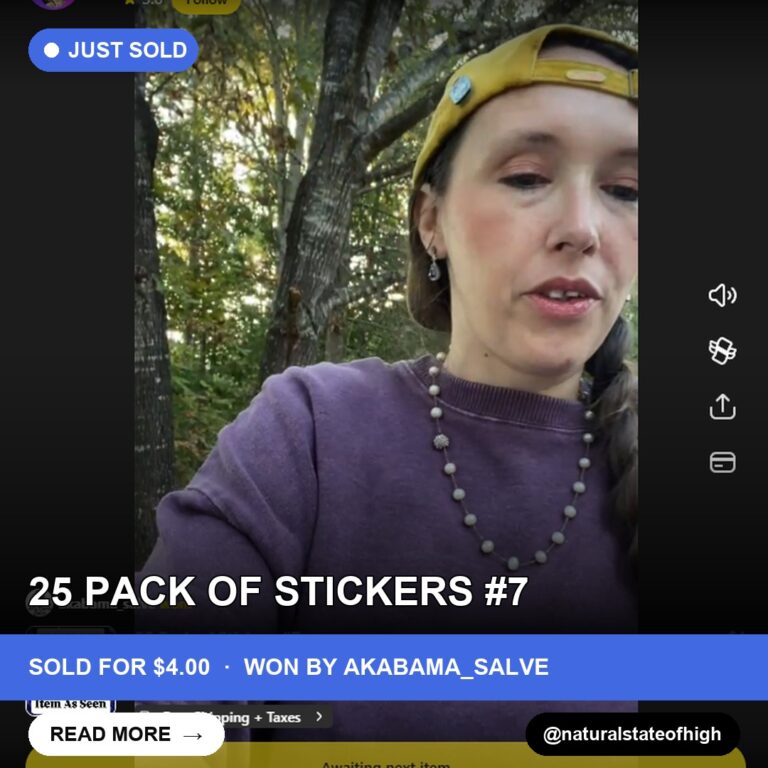 Sticker Bonanza: Single Sheet of 25 Custom Stickers Sells for $4