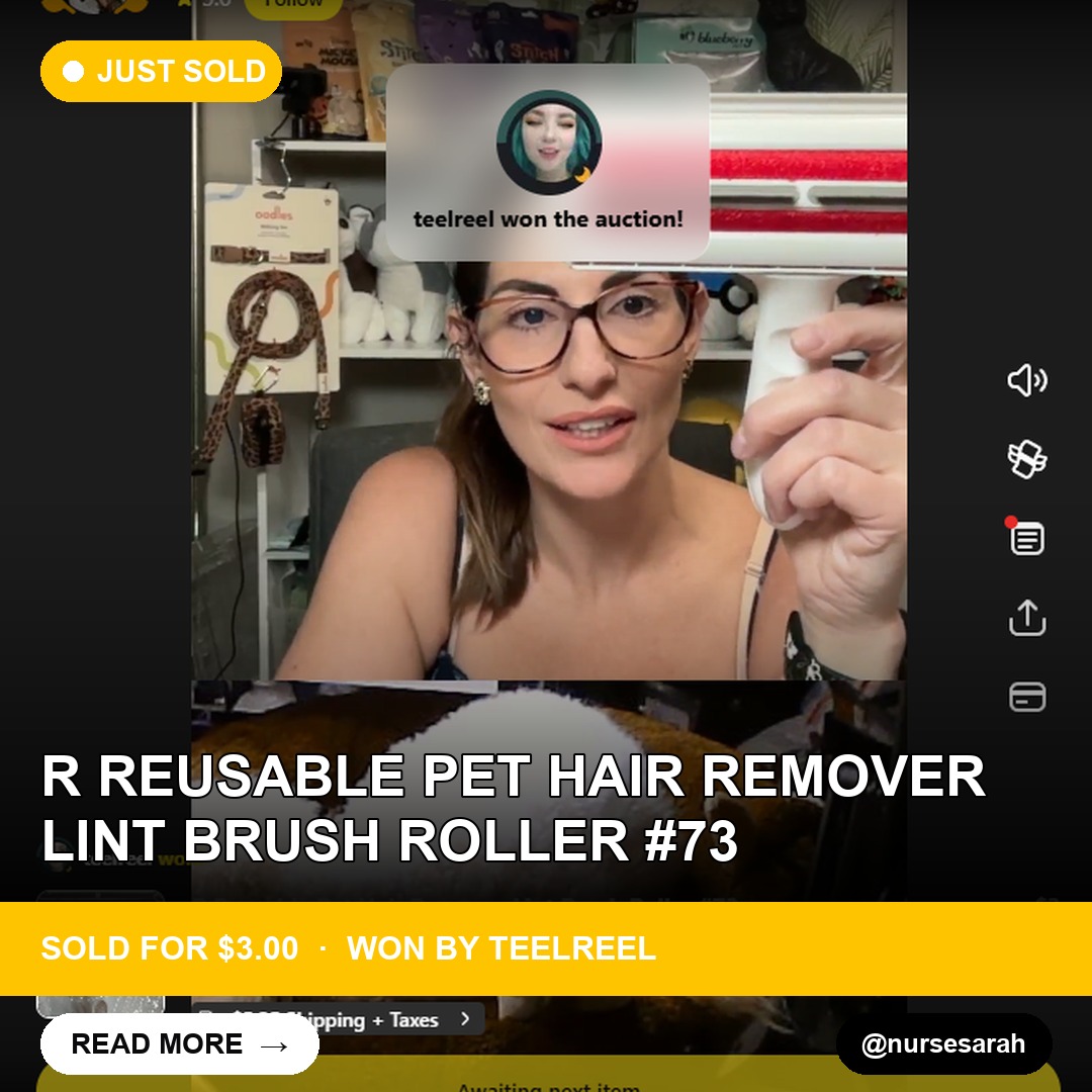 Pet Hair Remover Lint Brush Finds a Home in One Bidded Sale