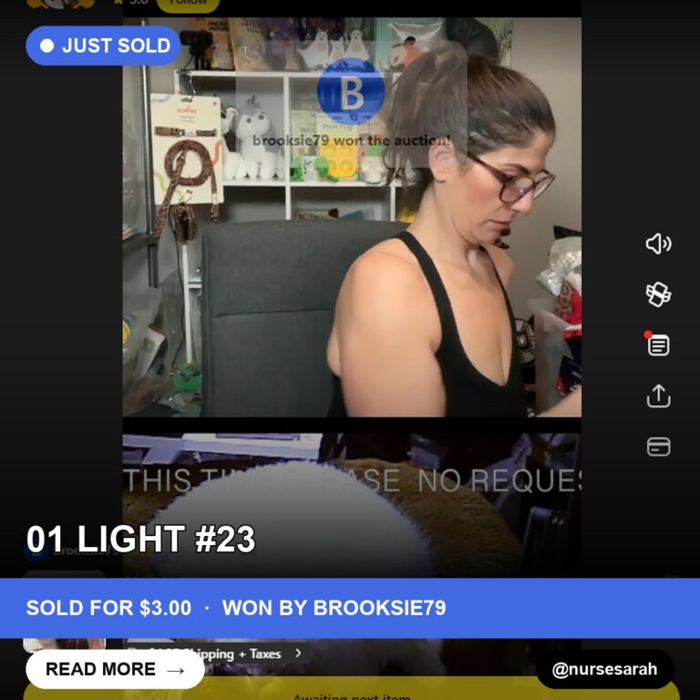 Midnight Pup Alert: 01 Light Sells for $3 on Whatnot